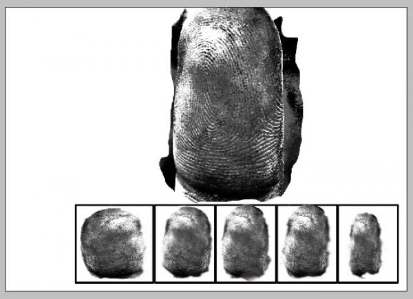 Creation of Arrest ID: Step 17